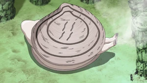 Giant Clam Naruto