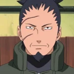 Shikaku Nara Naruto