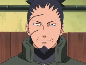 Shikaku Nara Naruto